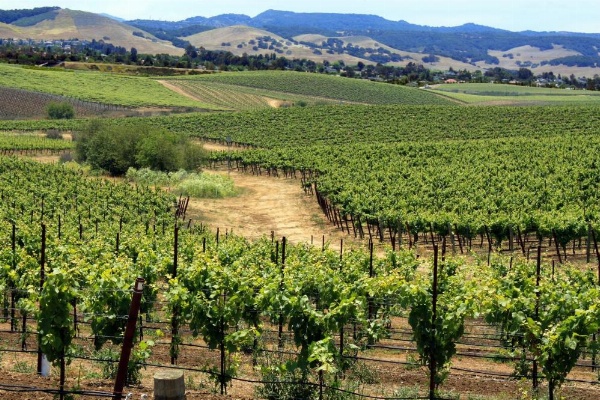 Inn at San Luis Obispo image 28